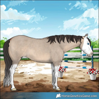 Horse Color:Brown Roan Dun Sabino Splash 