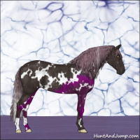Horse Color:White Spotted Liver Chestnut Rabicano