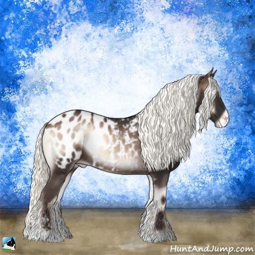 Horse Color:Liver Red Onyx Mushroom Sabino Appaloosa Rabicano 