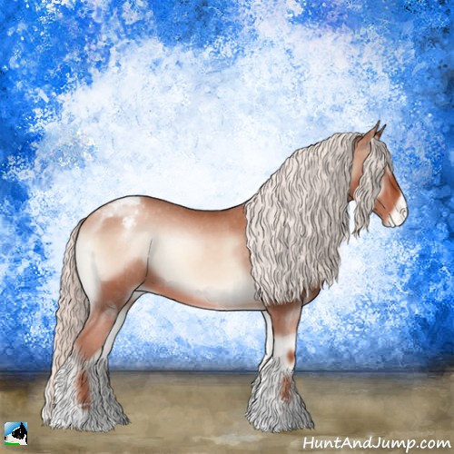 Horse Color:Gold Champagne Onyx Mushroom Appaloosa 