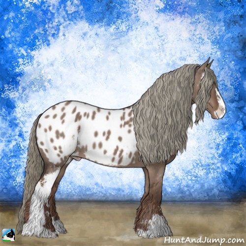 Horse Color:Liver Red Dun Mushroom Sabino Appaloosa 