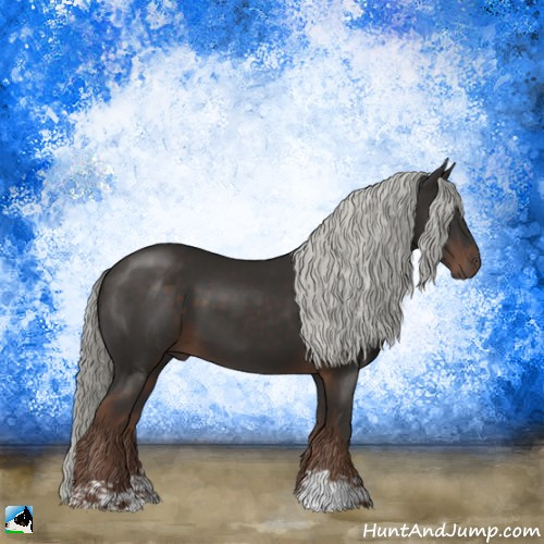 Horse Color:Liver Chestnut Mushroom 
