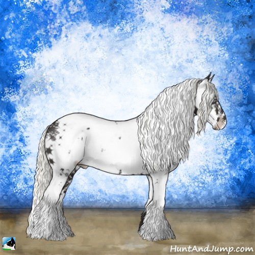 Horse Color:Liver Chestnut Mushroom Sabino 