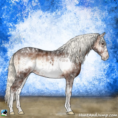 Horse Color:Liver Red Onyx Ice Mushroom Sabino Frame 