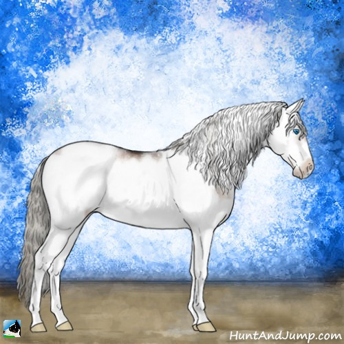 Horse Color:Liver Red Dun Onyx Mushroom Sabino Splash Frame 