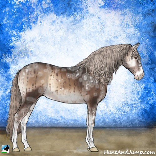 Horse Color:Liver Red Onyx Ice Mushroom Sabino 