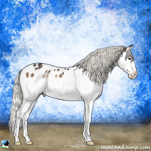 Horse Color:Liver Red Onyx Mushroom Sabino Splash Appaloosa 