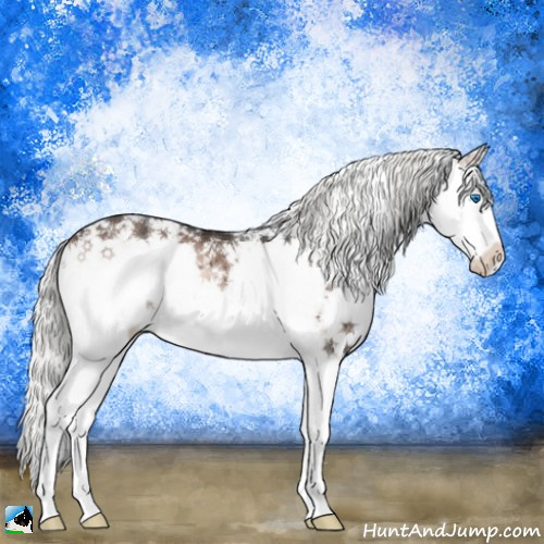 Horse Color:Liver Red Onyx Mushroom Sabino Splash 