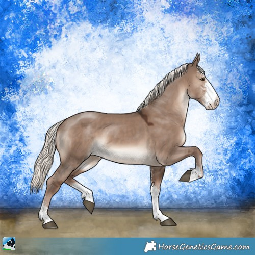 Horse Color:Liver Red Dun Mushroom Sabino