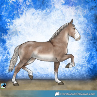 Horse Color:Liver Red Dun Mushroom Sabino 