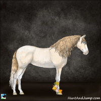 Horse Color:White Spotted Buckskin Ice Pearl Splash 