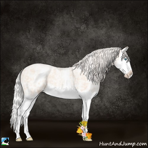 Horse Color:White Spotted Silver Classic Champagne Ice Roan Pearl Splash 