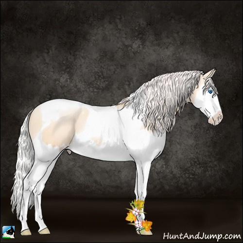 Horse Color:White Spotted Silver Classic Champagne Pearl Dun Splash Tobiano 