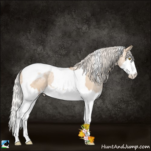 Horse Color:Silver Grullo Ice Pearl Splash Tobiano 