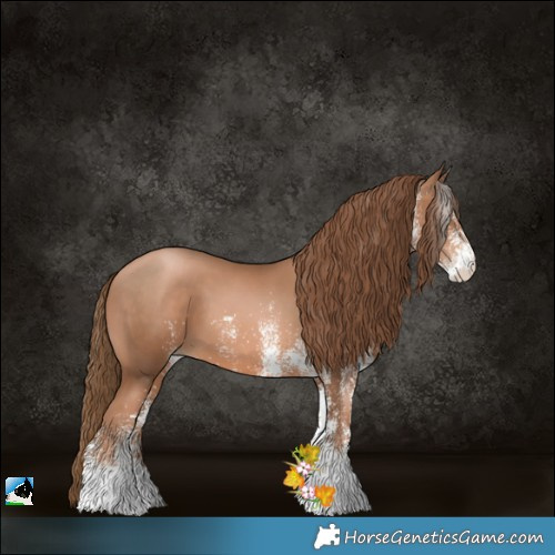 Horse Color:White Spotted Liver Chestnut Pearl