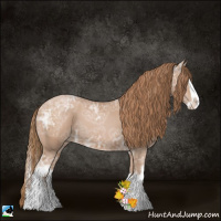 Horse Color:White Spotted Black Ice Pearl Splash 
