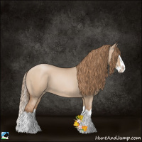 Horse Color:Grullo Pearl Splash 