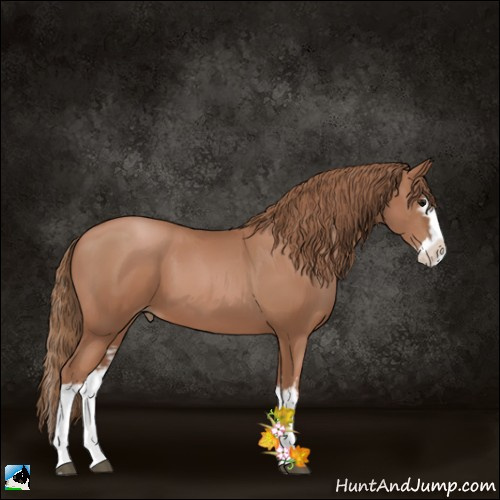 Horse Color:White Spotted Black Pearl Splash 