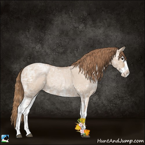 Horse Color:White Spotted Grullo Ice Roan Pearl Splash 