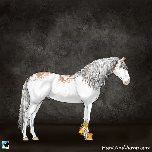 Horse Color:White Spotted Silver Black Pearl 