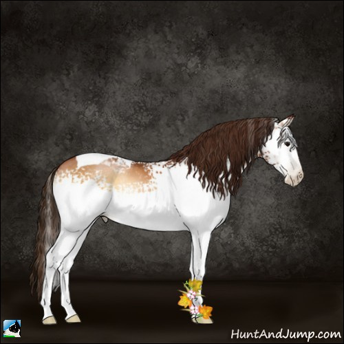 Horse Color:Gray White Spotted Bay Pearl Onyx Tobiano 