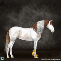 Horse Color:White Spotted Brown Ice Pearl Dun Splash Tobiano 