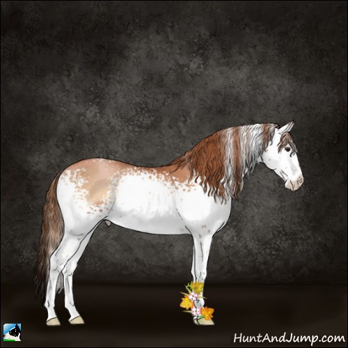 Horse Color:White Spotted Red Onyx Pearl 