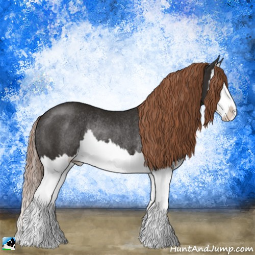 Horse Color:Liver Chestnut Splash Rabicano 