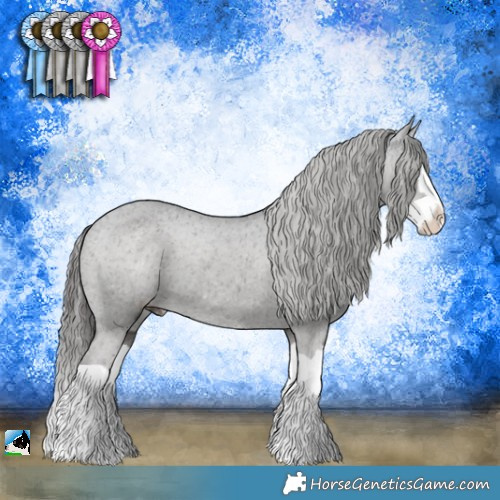 Horse Color:Black Splash Appaloosa 