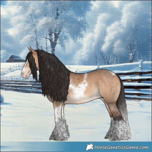 Horse Color:Bay Dun Splash Tobiano Brindle 