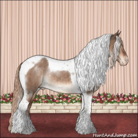 Horse Color:Liver Red Dun Tobiano Appaloosa Rabicano Brindle