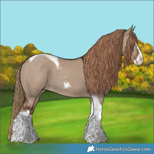 Horse Color:Liver Red Dun Splash Tobiano 