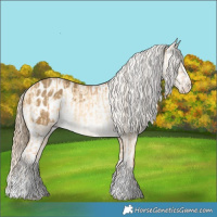 Horse Color:Gold Cream Champagne Dun Brindle  and Sable Cream Champagne Tobiano Blanket 