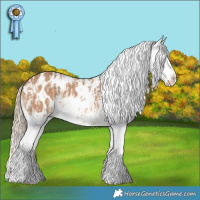 Horse Color:Red Dun Tobiano Blanket  and Red Dun Tobiano Blanket 