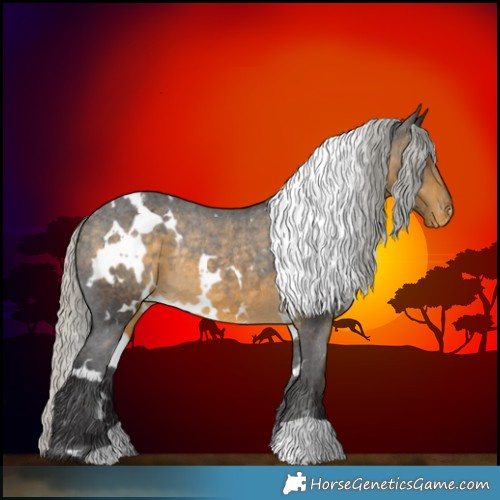 Horse Color:White Spotted Silver Buckskin Appaloosa Rabicano 