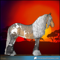 Horse Color:White Spotted Silver Buckskin Appaloosa Rabicano