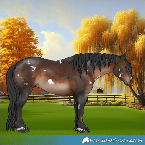 Horse Color:White Spotted Brown 
