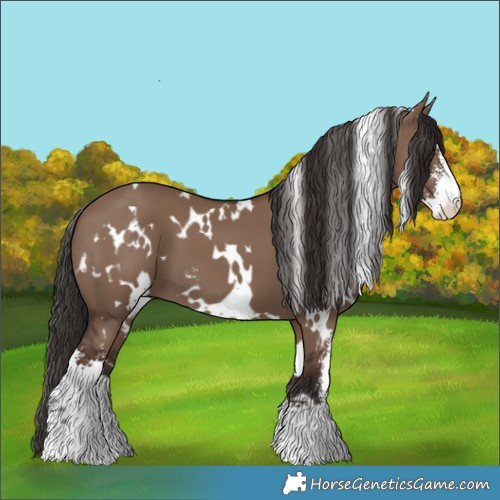 Horse Color:White Spotted Liver Red Dun Sabino