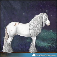 Horse Color:White Spotted Chocolate Palomino Snowflake Varnish Rabicano 