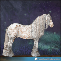 Horse Color:White Spotted Chocolate Palomino Appaloosa Rabicano 