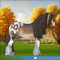Horse Color:Buckskin Tobiano Appaloosa Rabicano 
