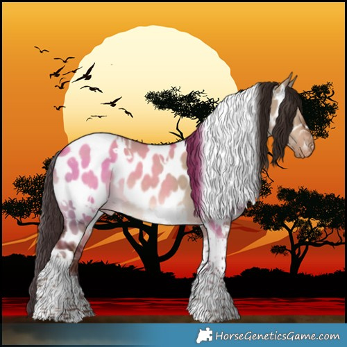 Horse Color:White Spotted Liver Red Dun Tobiano Appaloosa 