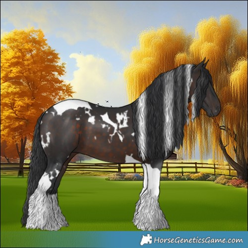 Horse Color:White Spotted Brown Tobiano 