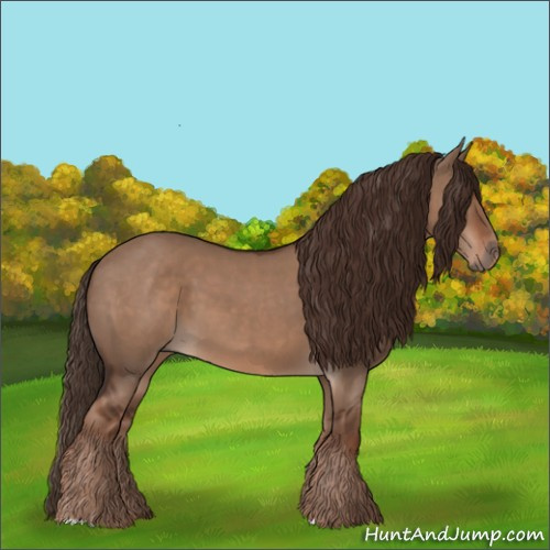 Horse Color:Liver Red Dun 