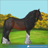 Horse Color:Brown Tobiano 