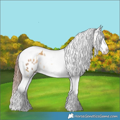 Horse Color:White Spotted Sable Champagne Dun Splash Tobiano Appaloosa Brindle 