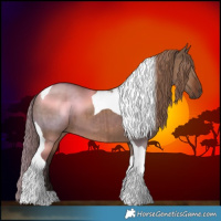 Horse Color:Liver Red Dun Tobiano Brindle