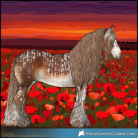 Horse Color:Gray Liver Chestnut Splash Tobiano Appaloosa and Gray Chestnut Tobiano