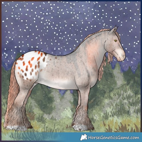 Horse Color:Liver Red Dun Appaloosa Rabicano Brindle 