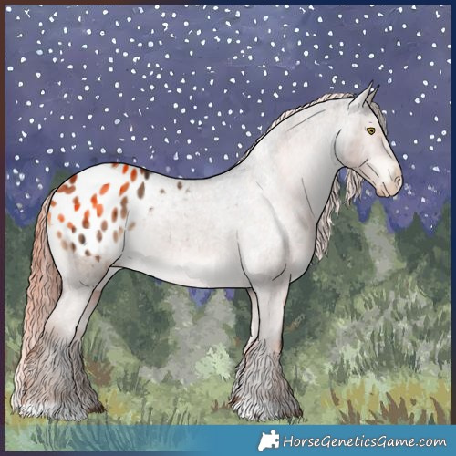 Horse Color:Liver Red Dun Appaloosa Rabicano Brindle 